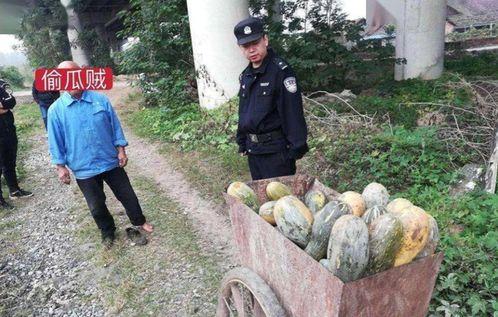 福建古茗吃瓜事件视频,一场网络争议的发酵与反思  第2张