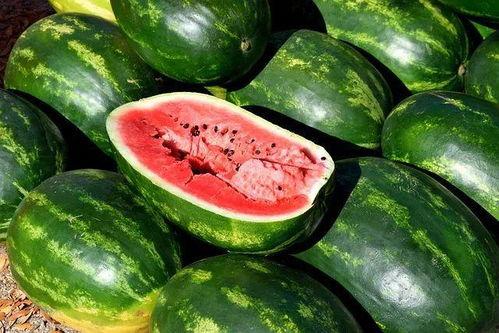 院子吃瓜视频素材高清,夏日休闲生活剪影  第3张