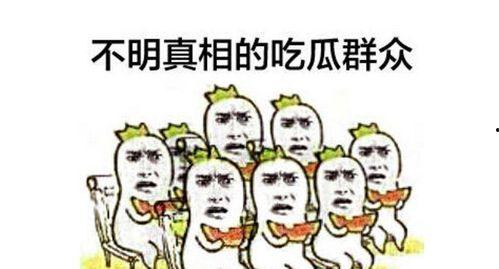 吃瓜群众小跟班视频,视频背后的趣味与真相
