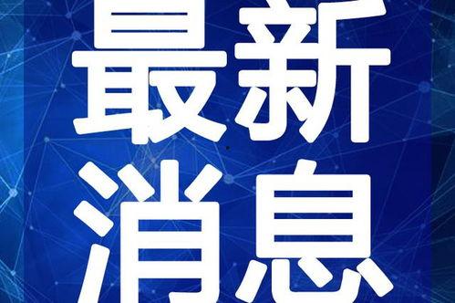 最新吃瓜恶心新闻视频下载,最新吃瓜恶心新闻视频，揭秘事件背后惊人真相！