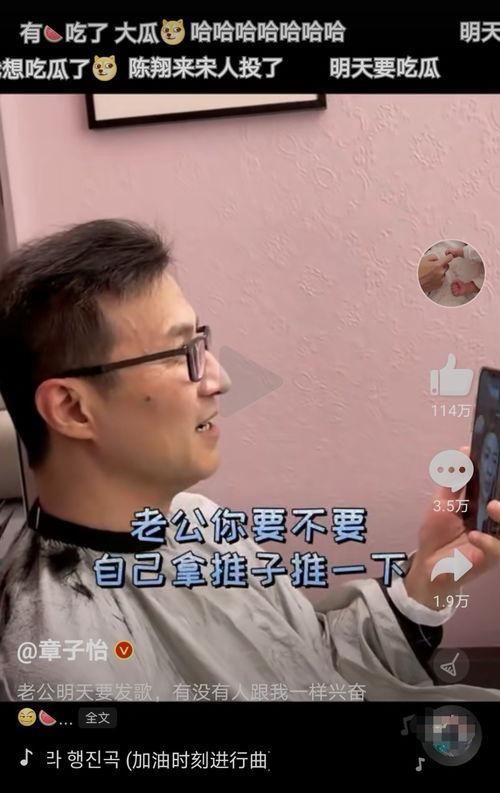 吃瓜视频大儿子,揭秘娱乐圈背后的故事