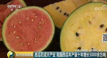 这个世界真实的吃瓜视频,一场视觉与味蕾的双重盛宴  第2张