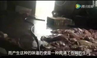 偷拍神兽吃瓜视频大全  第3张