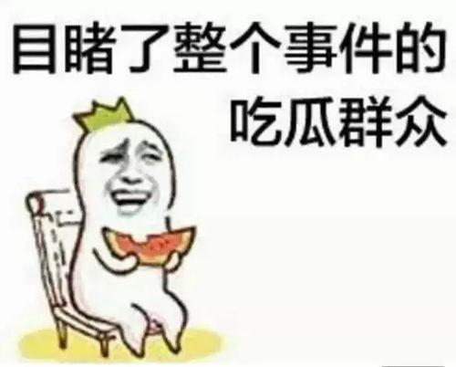 吃瓜群众王大明视频