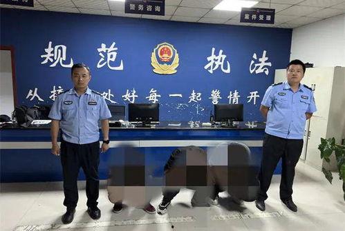 山东菏泽吃瓜群众最新视频,街头热议，揭秘当地生活百态  第2张